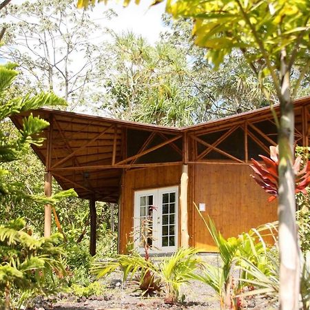 Kalani Oceanside Retreat Pahoa Exterior foto