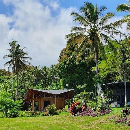 Kalani Oceanside Retreat Pahoa Exterior foto