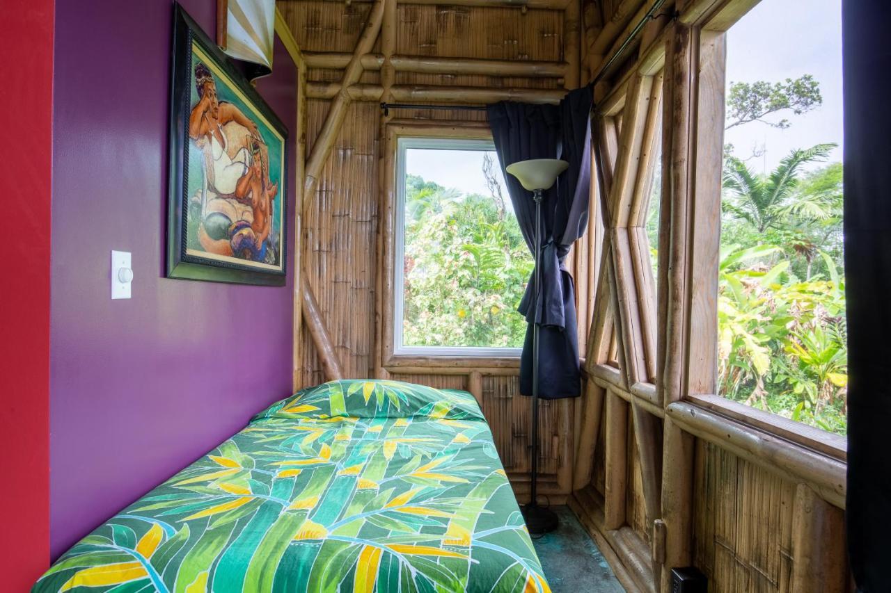 Kalani Oceanside Retreat Pahoa Exterior foto