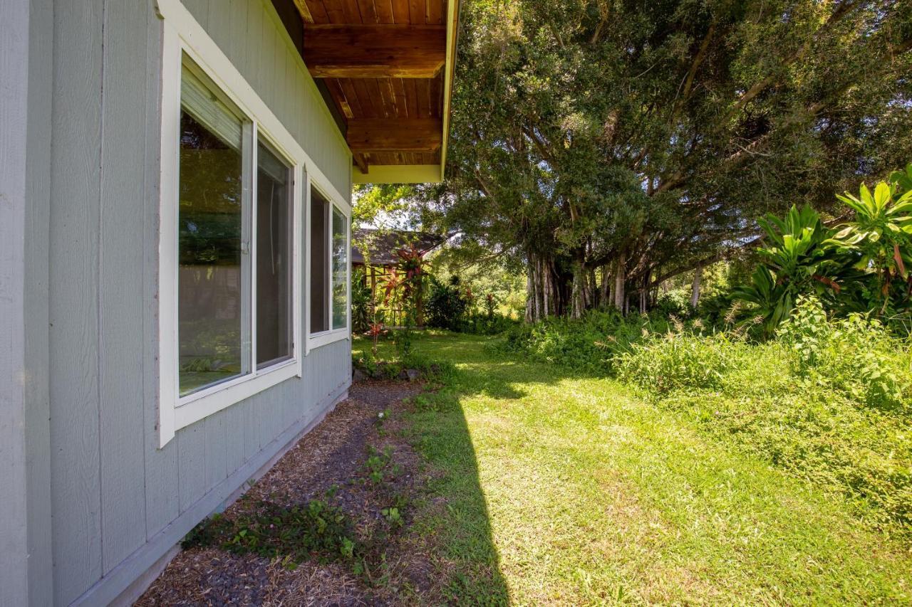 Kalani Oceanside Retreat Pahoa Exterior foto