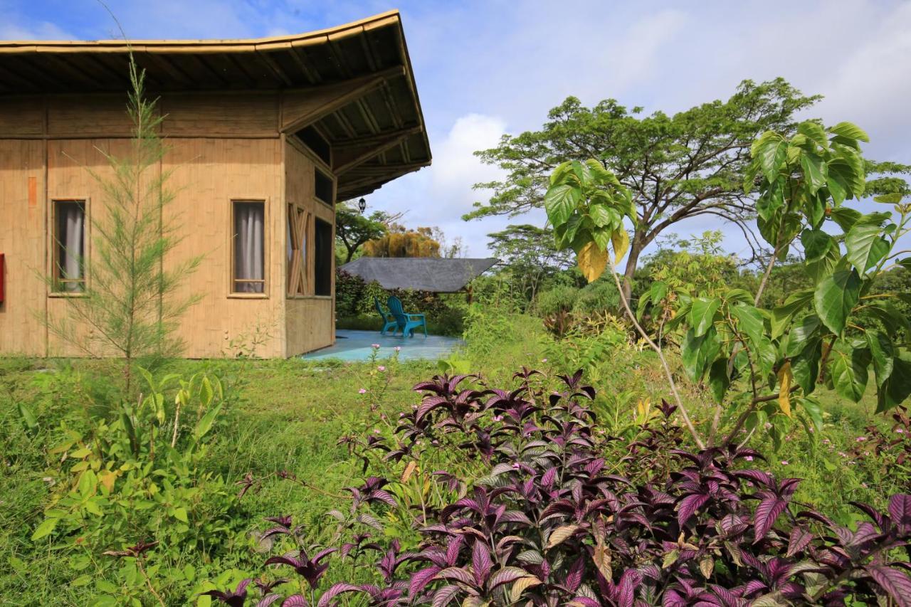 Kalani Oceanside Retreat Pahoa Exterior foto