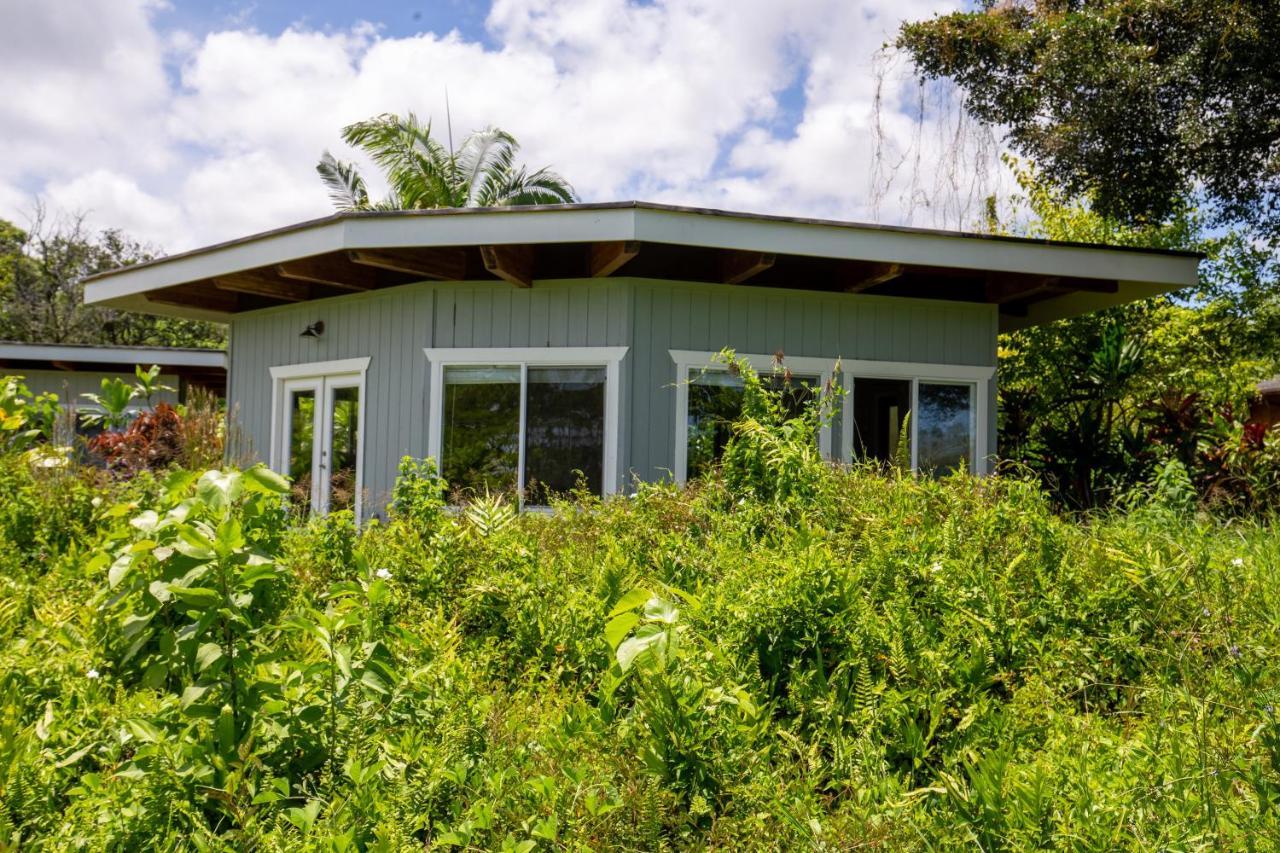 Kalani Oceanside Retreat Pahoa Exterior foto